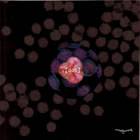 Merry Go Round : Dot